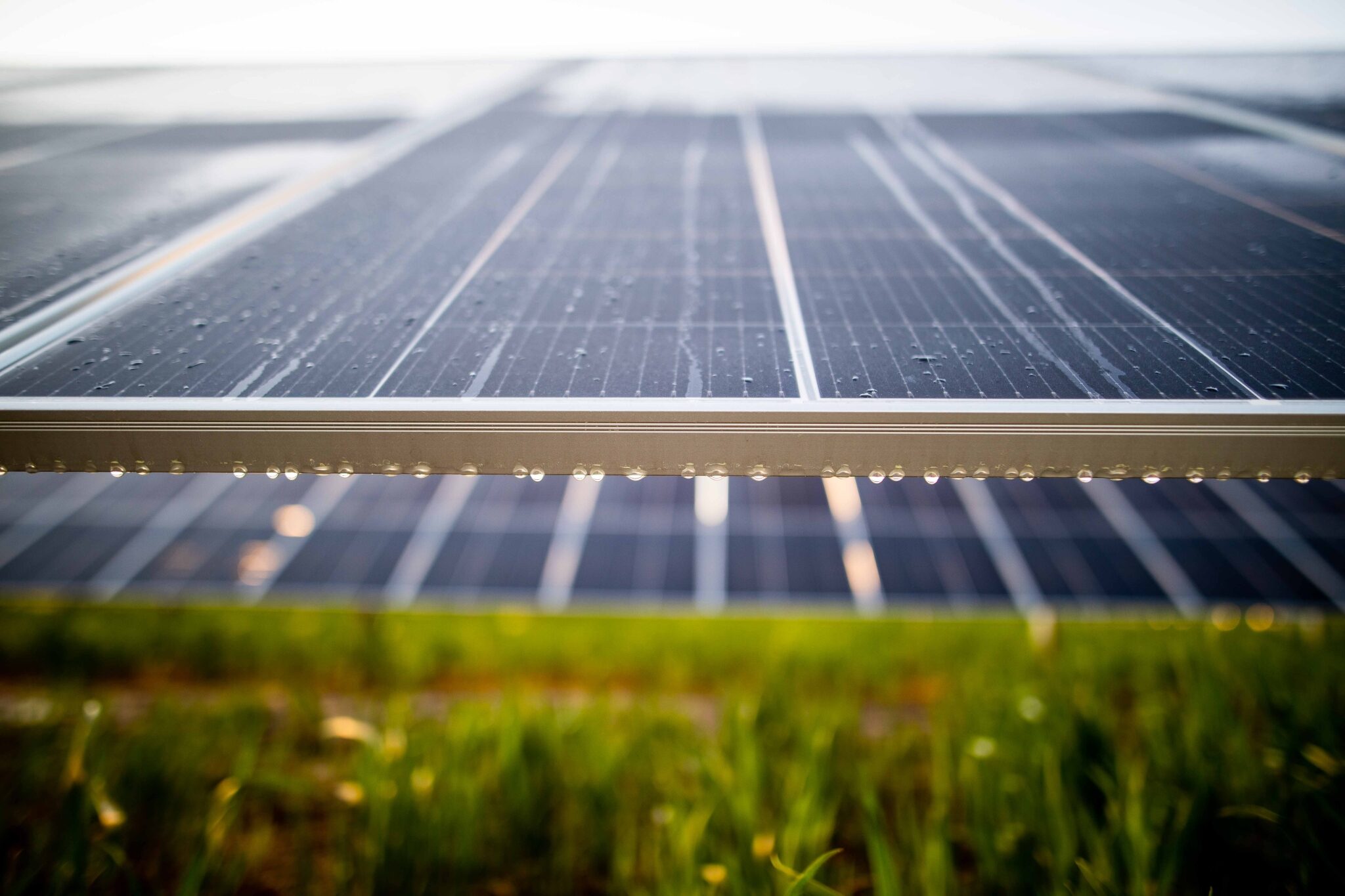 „Mundus Bridge Finance“ suteiks 9,5 mln. eurų „Green Genius“ projektams Rumunijoje