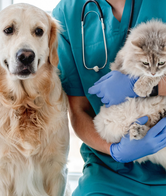 „INVL Baltic Sea Growth Fund“ valdomas „MiniVet“ veterinarijos tinklas įsigijo dar dvi klinikas
